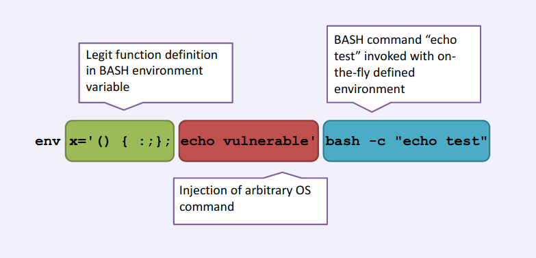The evolving use of Shellshock and Perlbot to target Webmin