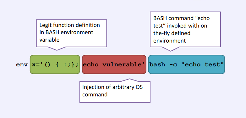 Understanding the Shellshock Vulnerability (Example)